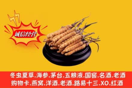 铁东区名酒回收冬虫夏草.jpg